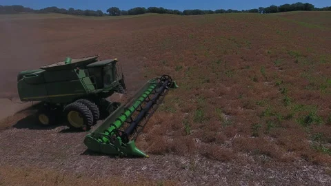 Pea Harvest06 Stock Footage 157603361