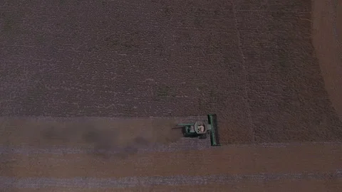 Pea Harvest07 Stock Footage 157608163