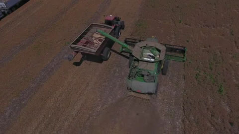 Pea Harvest09 Stock Footage 157608838