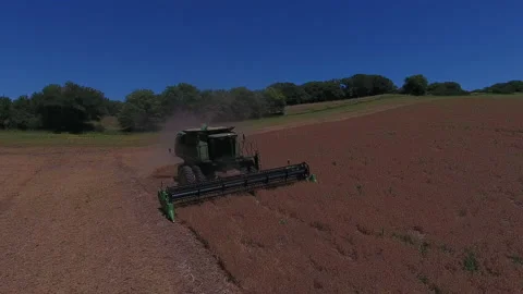 Pea Harvest10 Stock Footage 157608279