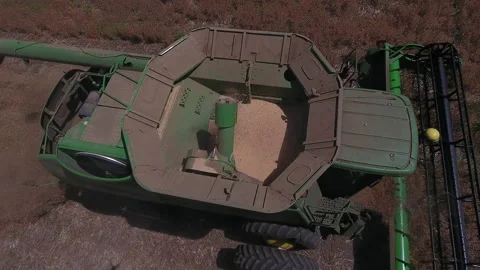 Pea Harvest11 Stock Footage 157609961
