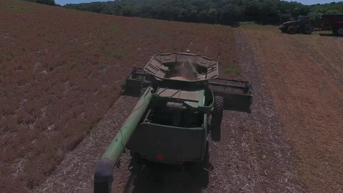 Pea Harvest12 Stock Footage 157611221
