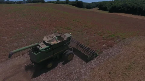 Pea Harvest13 Stock Footage 157611537