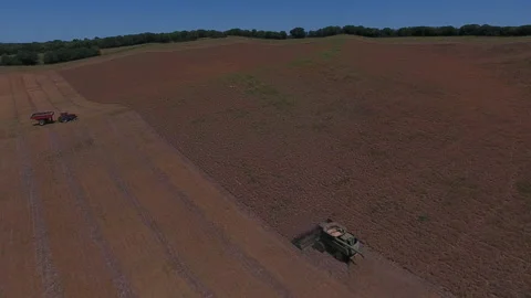 Pea Harvest14 Stock Footage 157612679