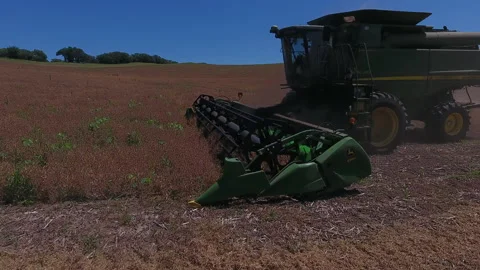 Pea Harvest15 Stock Footage 157611363