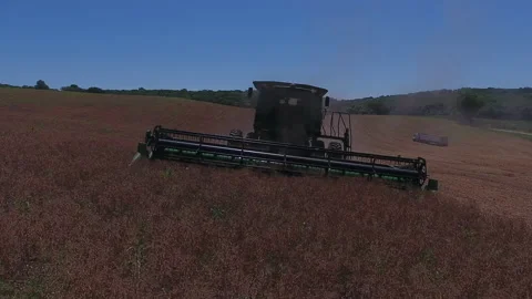 Pea Harvest16 Stock Footage 157611526