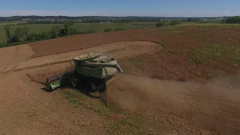 Pea Harvest21 Stock Footage 157613488