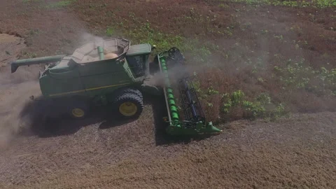 Pea Harvest24 Stock Footage 157614555