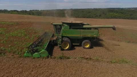 Pea Harvest26 Stock Footage 157614307