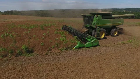 Pea Harvest27 Stock Footage 157615677