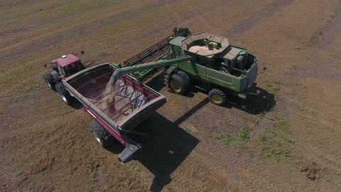 Pea Harvest29 Stock Footage 157615686
