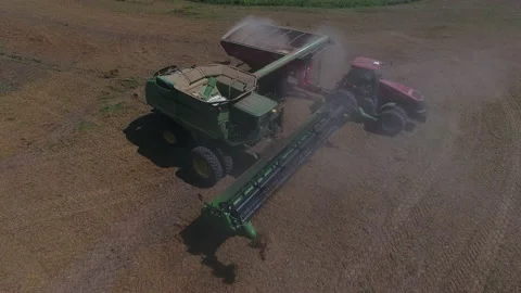 Pea Harvest30 Stock Footage 157615800