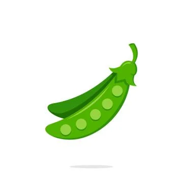 Pea icon vector. Illustration of pea isolated on white background Stock Illustration