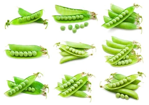 Pea Stock Illustration