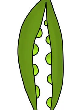 Pea Illustrazione stock