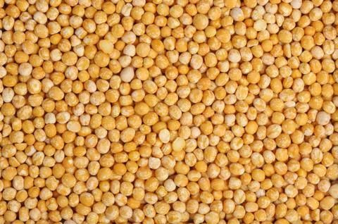 Pea, isolated Stock Photos