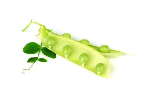 Pea isolated on white Stock Photos