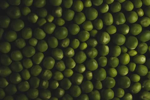 Pea macro close up Stock Photos
