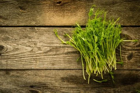 Pea micro greens on rustic background, copy space Stock Photos