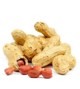 Pea Nuts Stock Photos