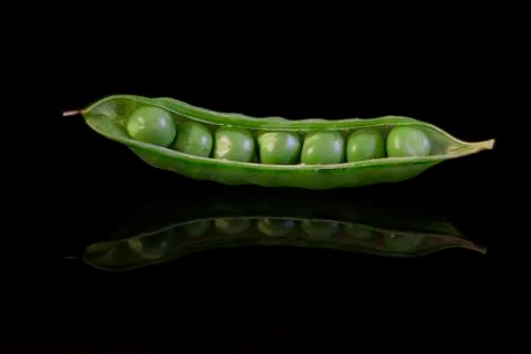 Pea pod black background Stock Photos