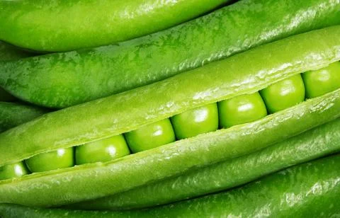 Pea pod close-up Stock Photos