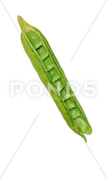 Pea Pod Isolated on a white background Stock Photos