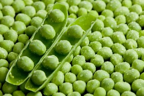 Pea pod with peas Stock Photos