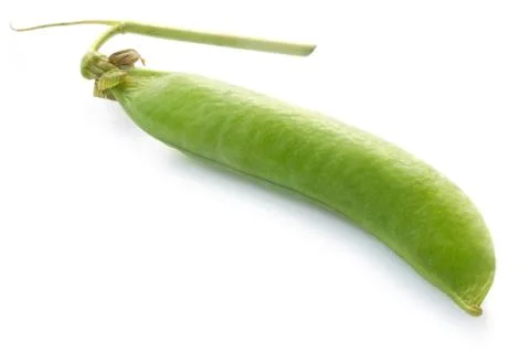 Pea Pod Stock Photos