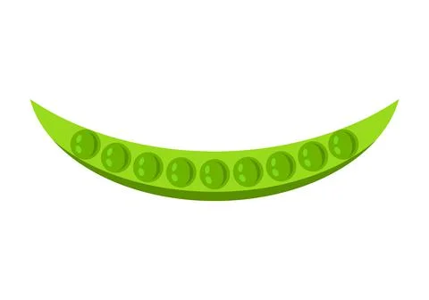 Pea pod.  Vector graphics on a white background. Illustrazione stock
