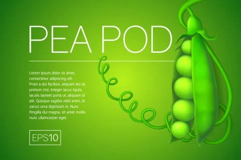 Pea pod. Vegetable 3d vector icon Stock Illustration