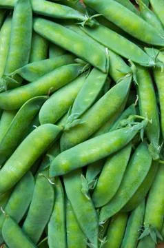 Pea seed pod Stock Photos