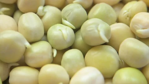 Pea seeds Stock Footage 188215060