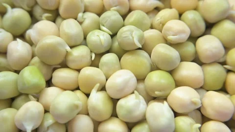 Pea seeds Stock Footage 188215077