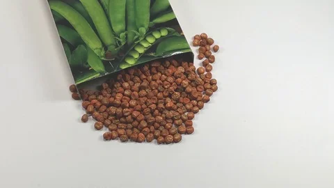 Pea seeds for sowing with packaging Stock Footage 105026617