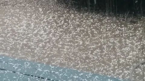 Pea sized hail falling Stock Footage 168911752