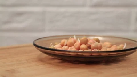 Pea sprouts Stock Footage 155653519