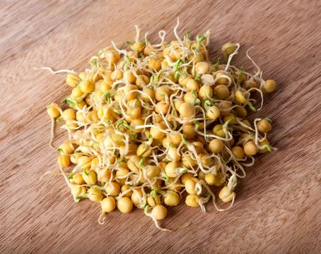 Pea sprouts Stock Photos