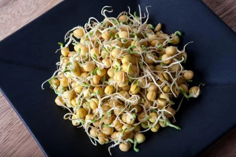 Pea sprouts Stock Photos
