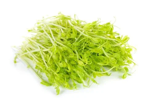 Pea Sprouts on White Background Stock Photos
