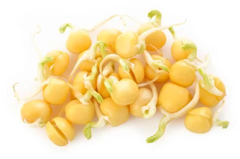 Pea sprouts on white Stock Photos