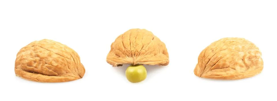 Pea under one of three walnut shells Stock Photos