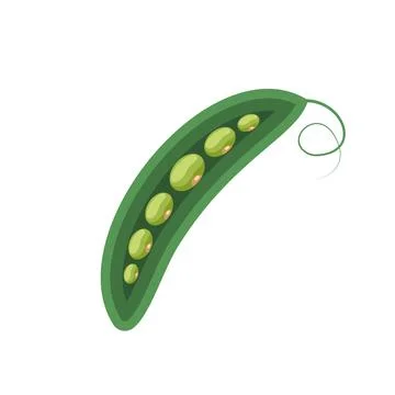Pea vegetable icon line colored. Peas pod flat illustration. Stock Illustration