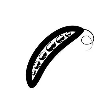 Pea vegetable icon line solid black. Peas pod flat illustration Stock Illustration