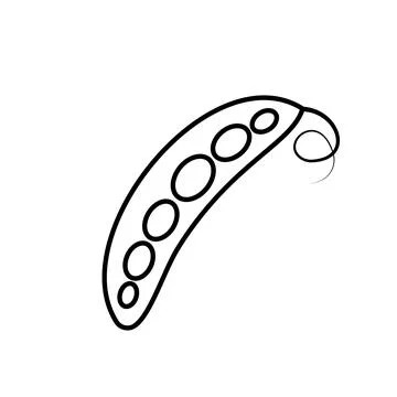 Pea vegetable icon outline black. Peas pod flat illustration. Stock-Illustration
