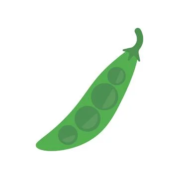 Pea vegetable vector illustration colored Illustrazione stock