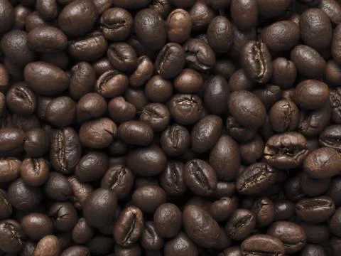 Peabody coffee beans Stock Photos