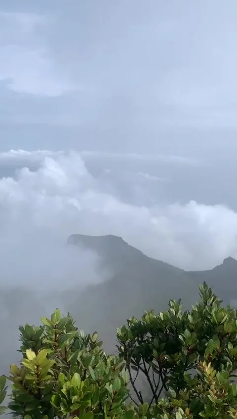 Peace above the clouds with the mist that envelops the Valley Stock Footage 280459792