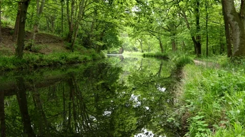 Peace and Quiet Stock Footage 108404179