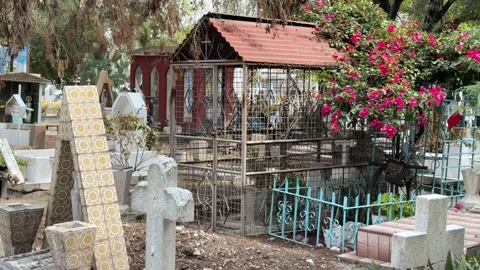 Peace and tranquility in old Mexican cemetery during the day Stock Footage 291584190